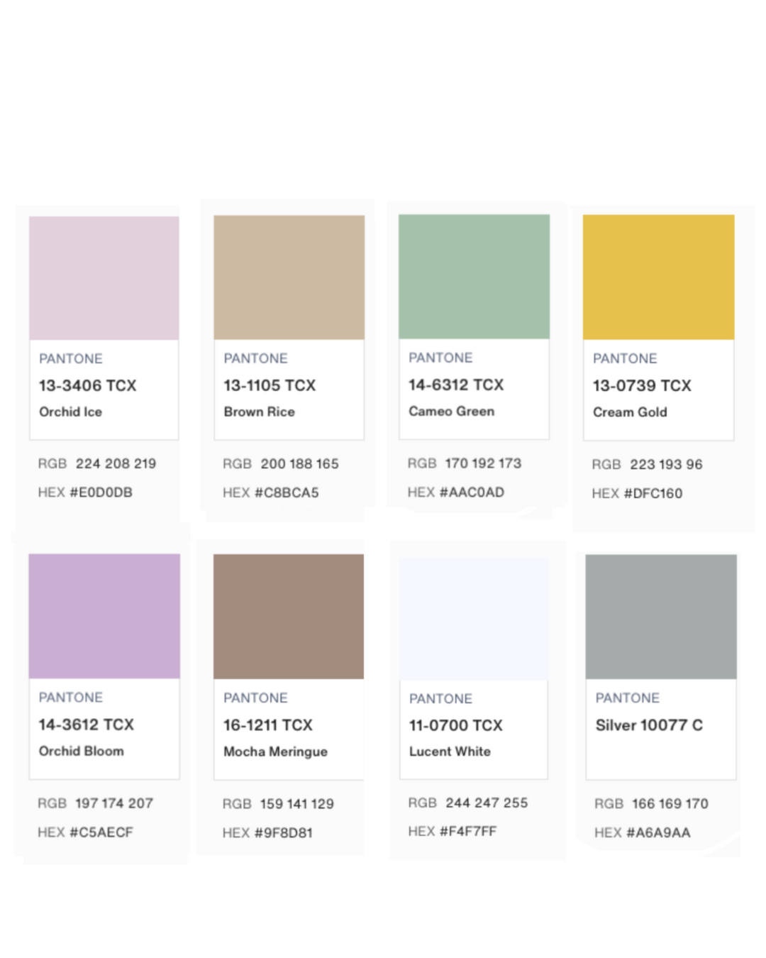Imagem Paleta de Cores